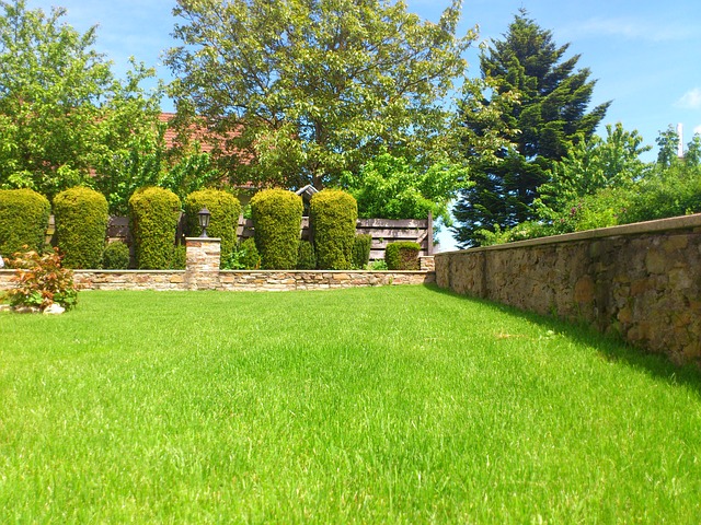 zahrada s kamennou zídkou