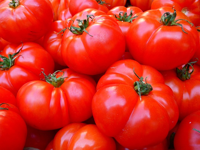 červená rajčata